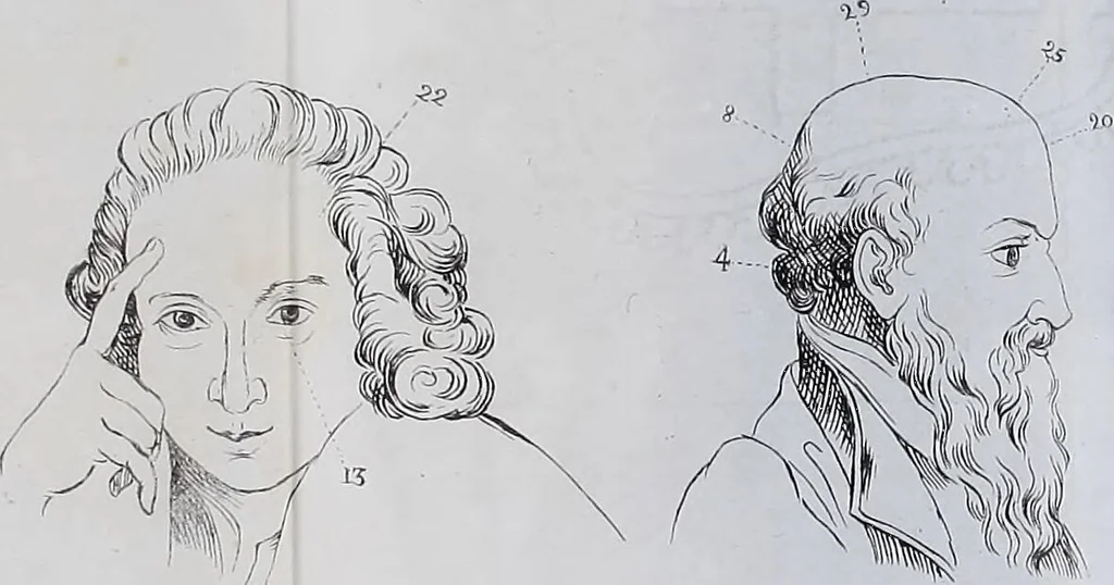 An illustration from Esposición sumaria del sistema frenológico del doctor Gall / [José Ramón Pacheco]., 1835, leaf 273