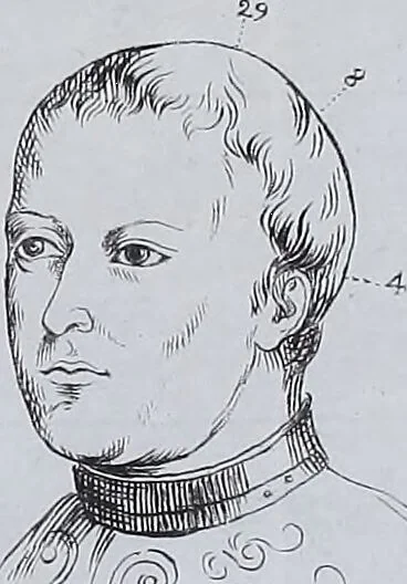 An illustration from Esposición sumaria del sistema frenológico del doctor Gall / [José Ramón Pacheco]., 1835, leaf 273
