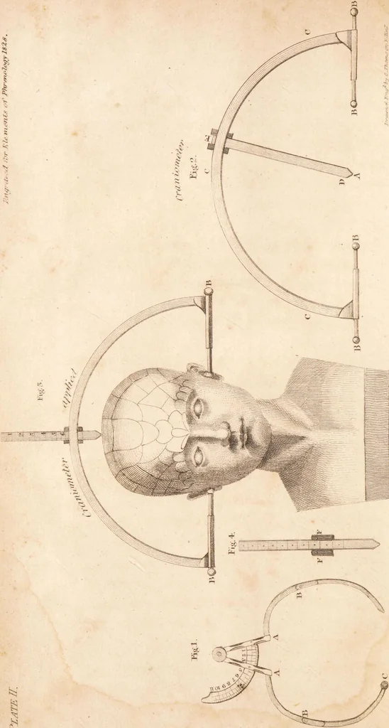 An illustration from Elements of phrenology / By George Combe., 1828, leaf 16