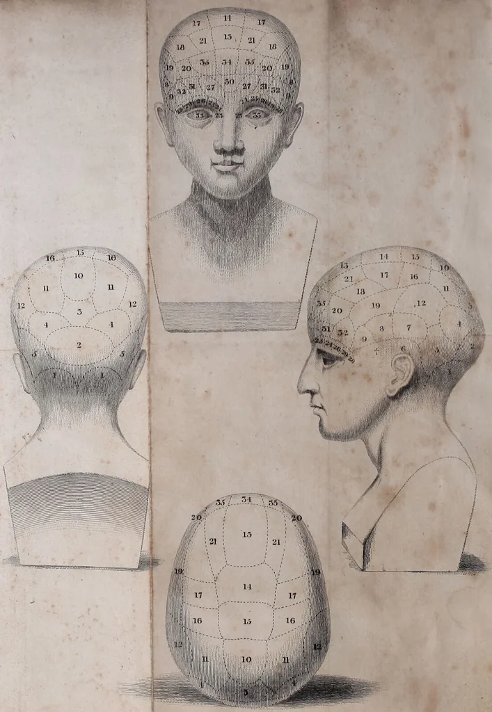 An illustration from Elements of phrenology / By George Combe., 1828, leaf 6