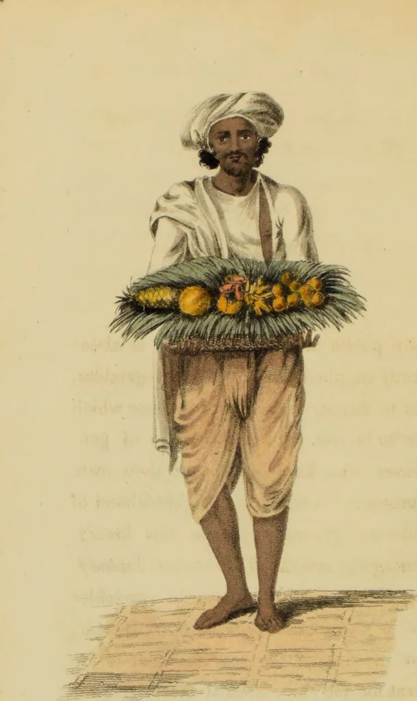 An illustration from Asiatic costumes; a series of forty-four coloured engravings, from designs taken from life: with a description to each subject / By Captain Smith, 44th Regiment., 1828, leaf 114