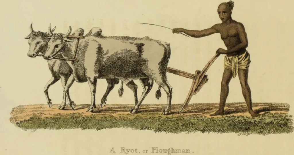 An illustration from Asiatic costumes; a series of forty-four coloured engravings, from designs taken from life: with a description to each subject / By Captain Smith, 44th Regiment., 1828, leaf 134