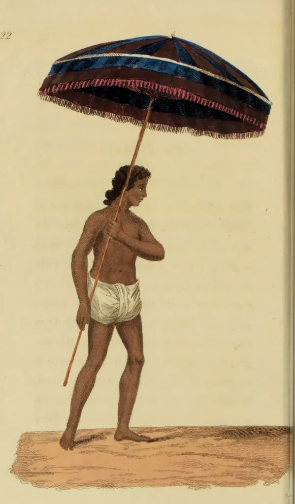 An illustration from Asiatic costumes; a series of forty-four coloured engravings, from designs taken from life: with a description to each subject / By Captain Smith, 44th Regiment., 1828, leaf 94