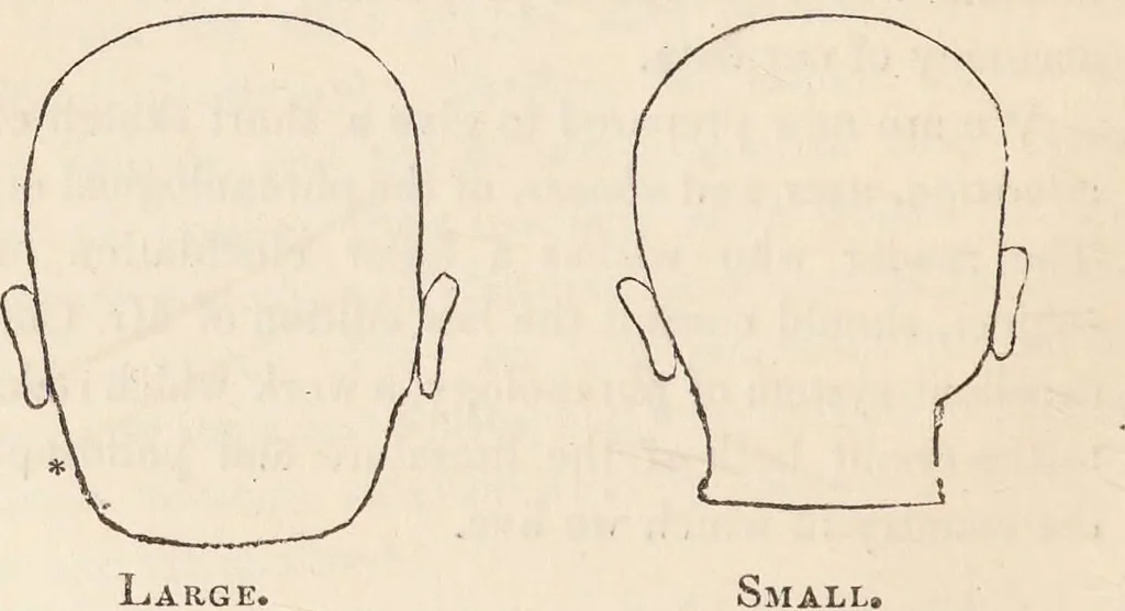 An illustration from The philosophy of phrenology / by a member of the Phrenological and Philosophical Societies of Glasgow., 1838, leaf 124
