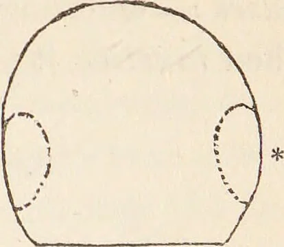 An illustration from The philosophy of phrenology / by a member of the Phrenological and Philosophical Societies of Glasgow., 1838, leaf 127