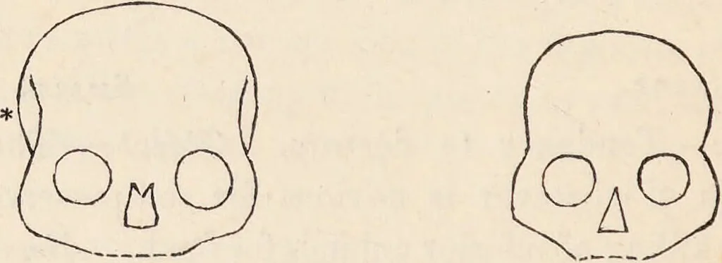 An illustration from The philosophy of phrenology / by a member of the Phrenological and Philosophical Societies of Glasgow., 1838, leaf 128