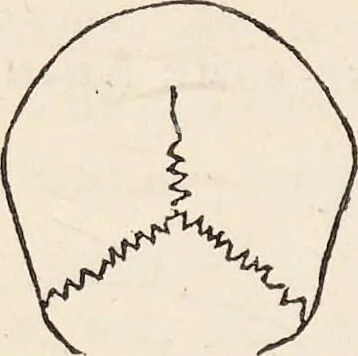 An illustration from The philosophy of phrenology / by a member of the Phrenological and Philosophical Societies of Glasgow., 1838, leaf 132