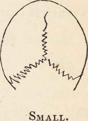 An illustration from The philosophy of phrenology / by a member of the Phrenological and Philosophical Societies of Glasgow., 1838, leaf 132