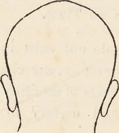 An illustration from The philosophy of phrenology / by a member of the Phrenological and Philosophical Societies of Glasgow., 1838, leaf 134