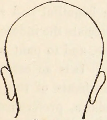 An illustration from The philosophy of phrenology / by a member of the Phrenological and Philosophical Societies of Glasgow., 1838, leaf 135