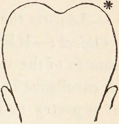 An illustration from The philosophy of phrenology / by a member of the Phrenological and Philosophical Societies of Glasgow., 1838, leaf 135