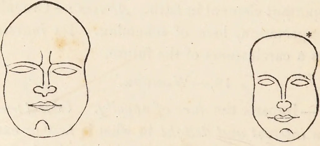 An illustration from The philosophy of phrenology / by a member of the Phrenological and Philosophical Societies of Glasgow., 1838, leaf 136