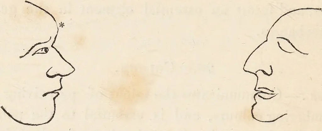 An illustration from The philosophy of phrenology / by a member of the Phrenological and Philosophical Societies of Glasgow., 1838, leaf 142