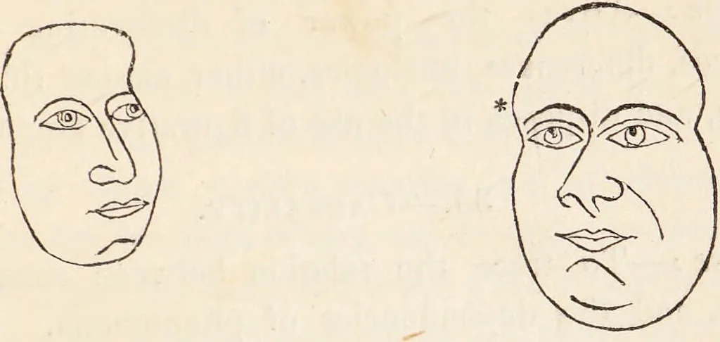 An illustration from The philosophy of phrenology / by a member of the Phrenological and Philosophical Societies of Glasgow., 1838, leaf 143