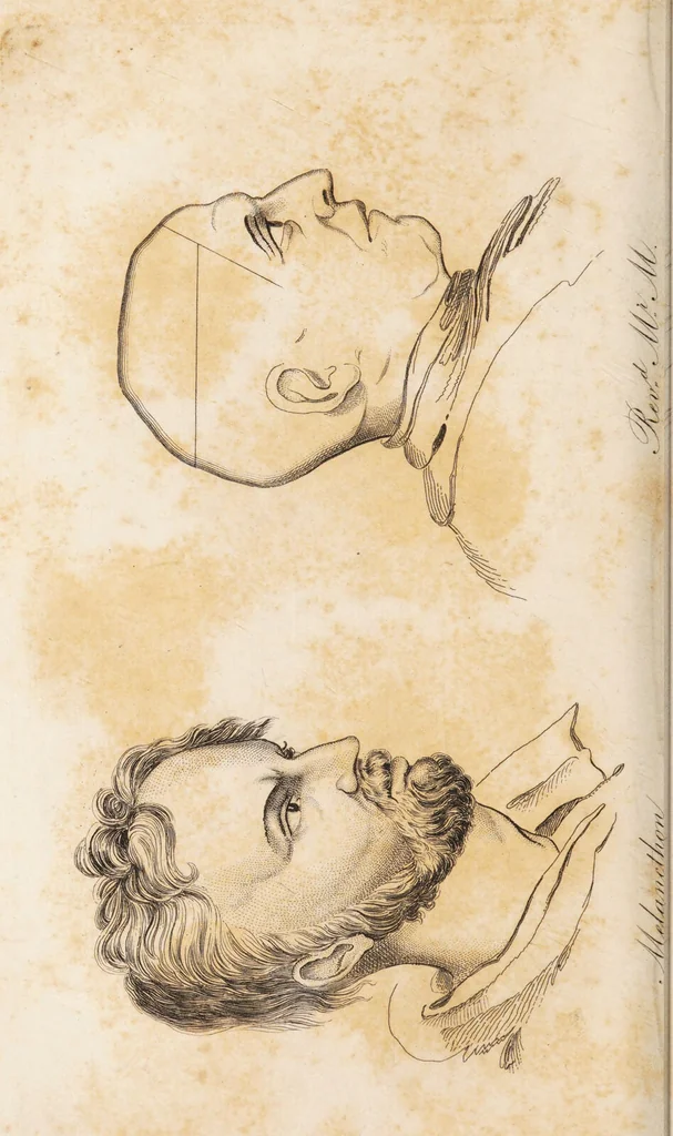 An illustration from The philosophy of phrenology / by a member of the Phrenological and Philosophical Societies of Glasgow., 1838, leaf 202