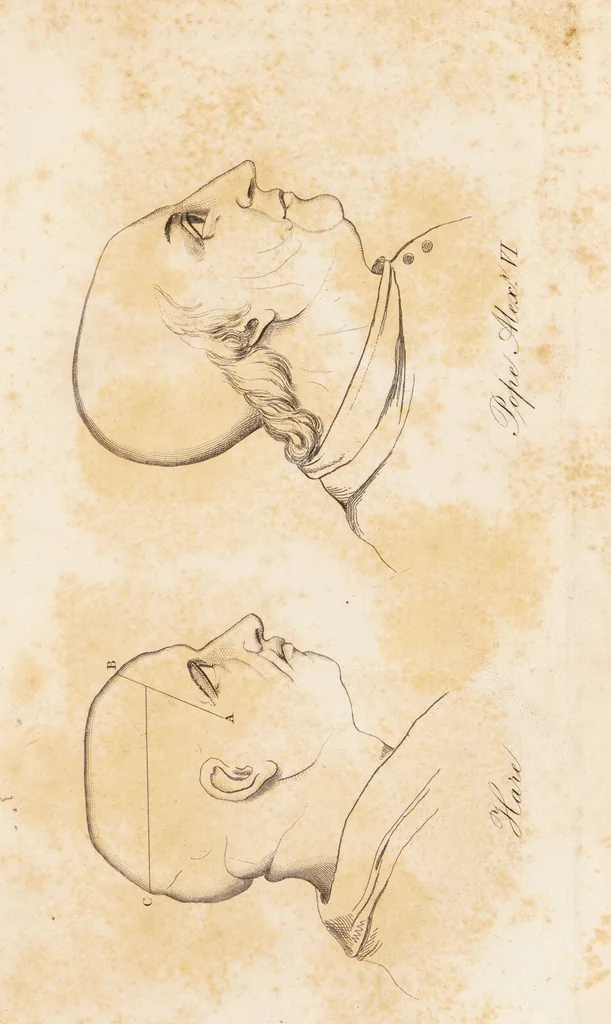An illustration from The philosophy of phrenology / by a member of the Phrenological and Philosophical Societies of Glasgow., 1838, leaf 203