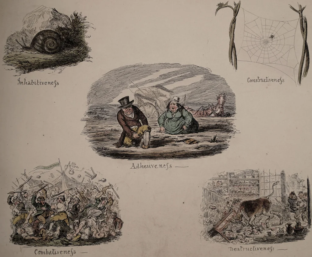 An illustration from Phrenological illustrations, or An artist's view of the craniological system of Doctors Gall and Spurzheim / by George Cruikshank., 1873, leaf 20