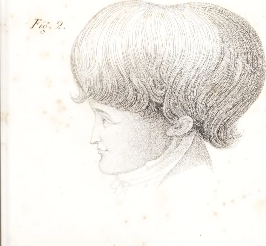 An illustration from Phrenology, or The doctrine of the mind : and of the relations between its manifestations and the body / By G. Spurzheim, M.D., 1830, leaf 321