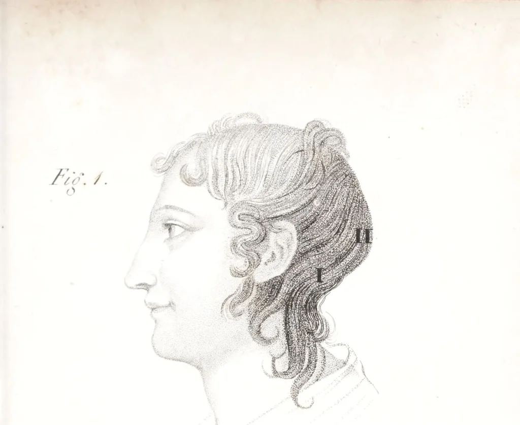 An illustration from Phrenology, or The doctrine of the mind : and of the relations between its manifestations and the body / By G. Spurzheim, M.D., 1830, leaf 327