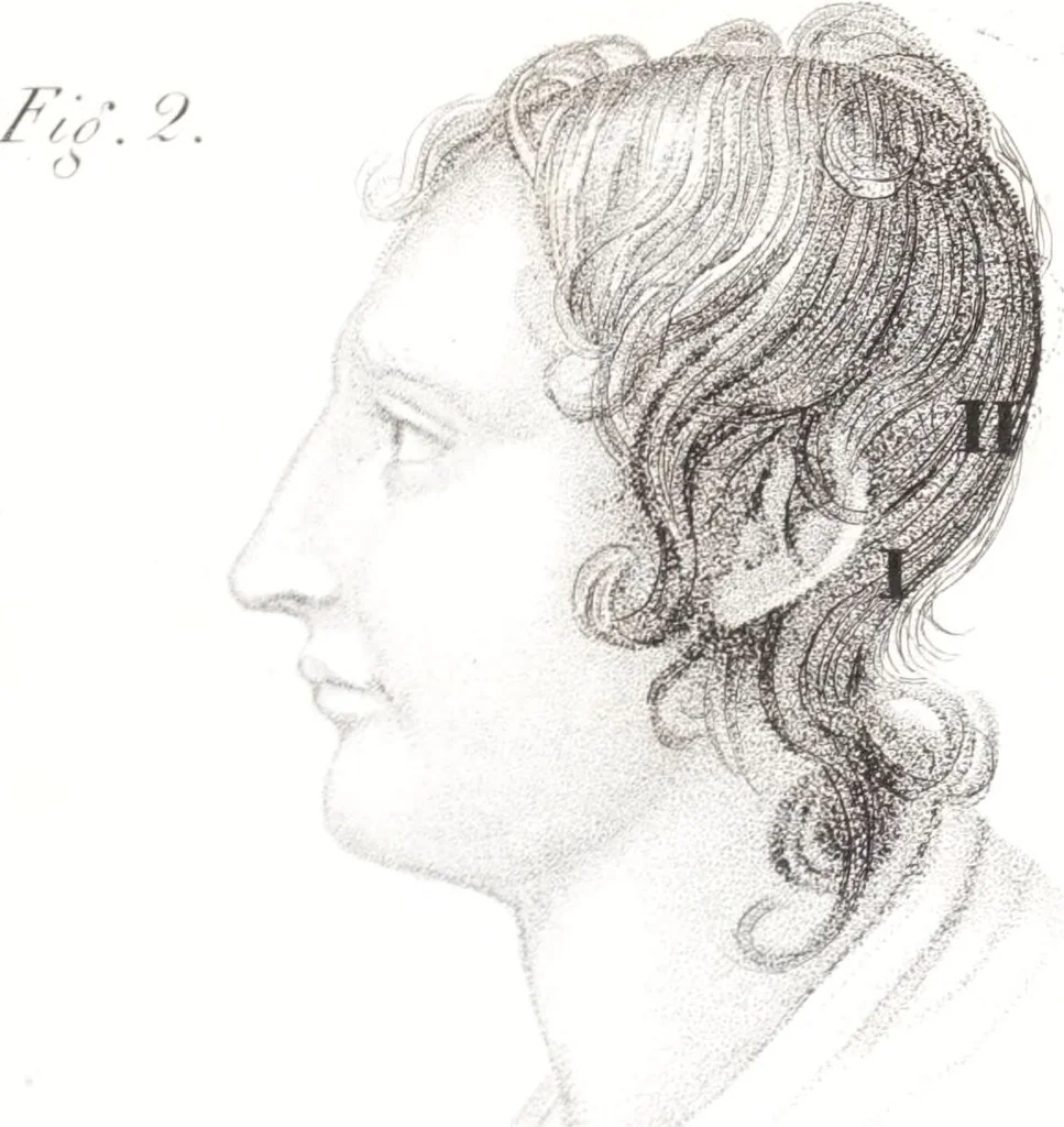An illustration from Phrenology, or The doctrine of the mind : and of the relations between its manifestations and the body / By G. Spurzheim, M.D., 1830, leaf 327