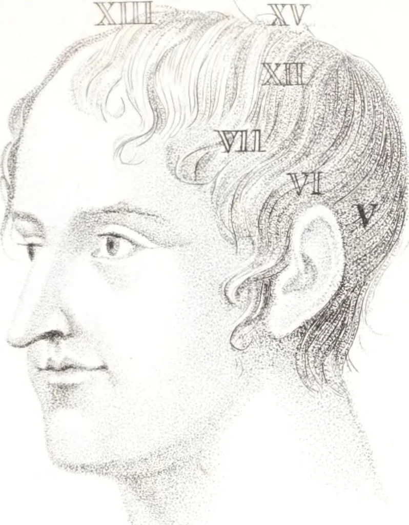 An illustration from Phrenology, or The doctrine of the mind : and of the relations between its manifestations and the body / By G. Spurzheim, M.D., 1830, leaf 331