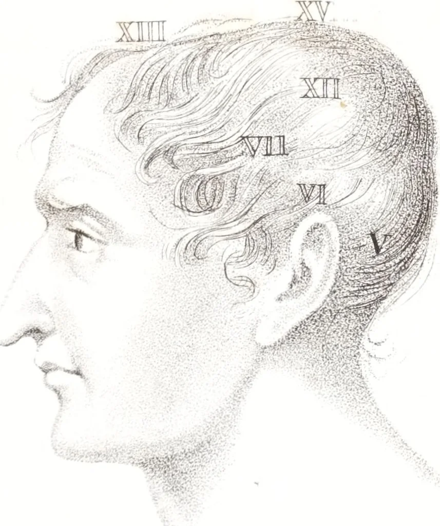 An illustration from Phrenology, or The doctrine of the mind : and of the relations between its manifestations and the body / By G. Spurzheim, M.D., 1830, leaf 331