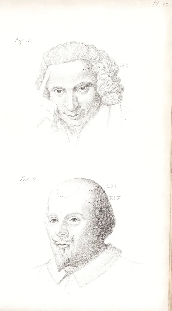 An illustration from Phrenology, or The doctrine of the mind : and of the relations between its manifestations and the body / By G. Spurzheim, M.D., 1830, leaf 337