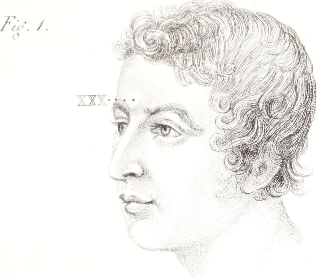 An illustration from Phrenology, or The doctrine of the mind : and of the relations between its manifestations and the body / By G. Spurzheim, M.D., 1830, leaf 339