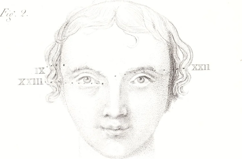 An illustration from Phrenology, or The doctrine of the mind : and of the relations between its manifestations and the body / By G. Spurzheim, M.D., 1830, leaf 339