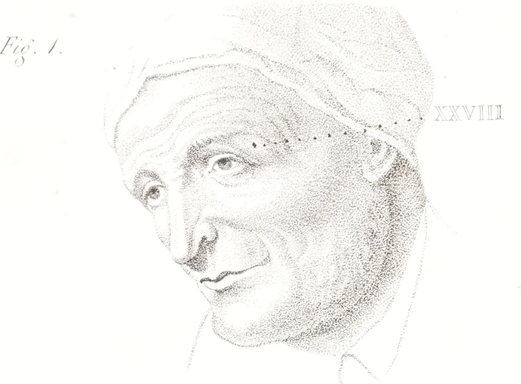 An illustration from Phrenology, or The doctrine of the mind : and of the relations between its manifestations and the body / By G. Spurzheim, M.D., 1830, leaf 343