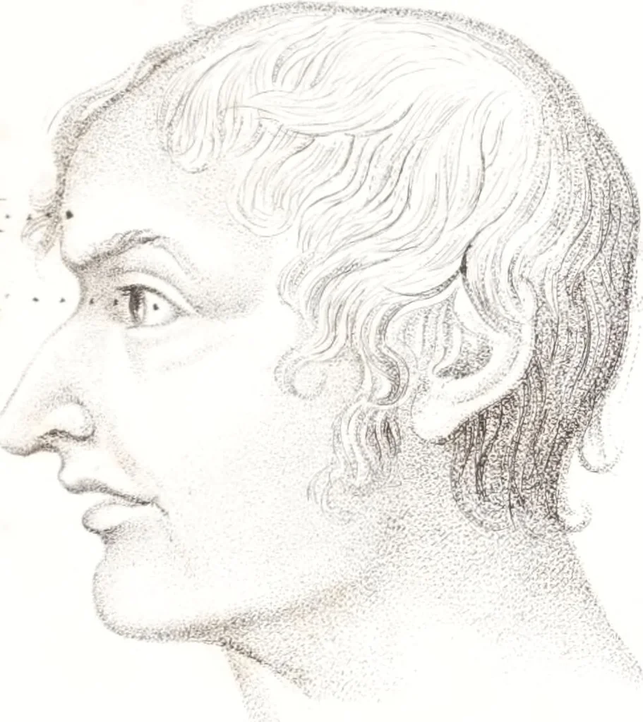 An illustration from Phrenology, or The doctrine of the mind : and of the relations between its manifestations and the body / By G. Spurzheim, M.D., 1830, leaf 345