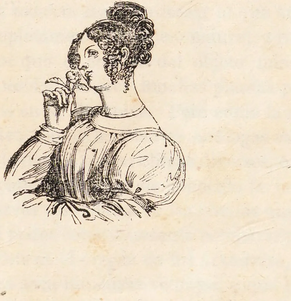 An illustration from Curso de botanica elemental. Parte teórica / por Miguel Bustamante., 1841, leaf 93