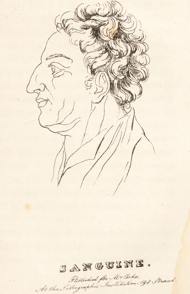 An illustration from A practical and familiar view of the science of physiognomy / compiled chiefly from the papers of the late Mr. T. Cooke, of Manchester, with a memoir and observations on the temperaments. By the editor., 1819, leaf 243