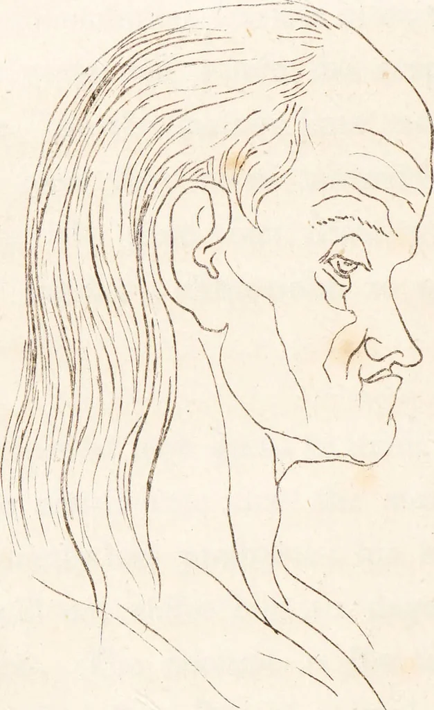 An illustration from A practical and familiar view of the science of physiognomy / compiled chiefly from the papers of the late Mr. T. Cooke, of Manchester, with a memoir and observations on the temperaments. By the editor., 1819, leaf 256