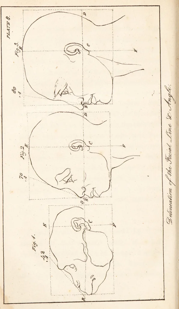 An illustration from A practical and familiar view of the science of physiognomy / compiled chiefly from the papers of the late Mr. T. Cooke, of Manchester, with a memoir and observations on the temperaments. By the editor., 1819, leaf 332