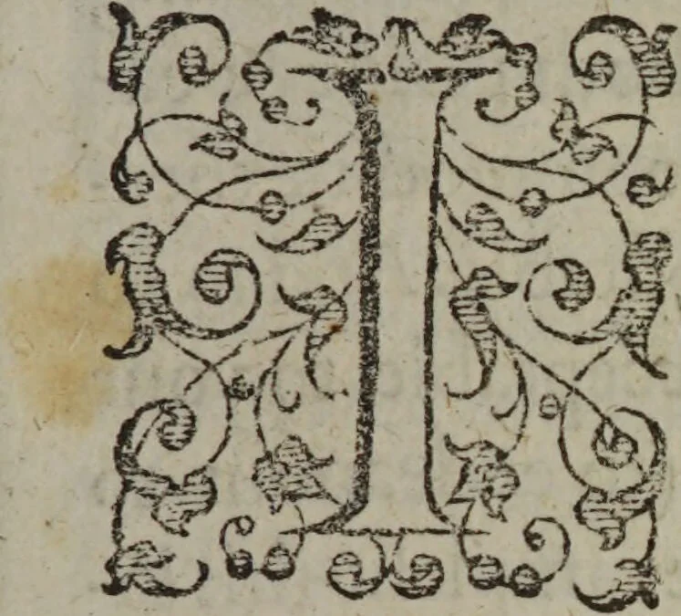 An illustration from Speculum ægrotorum: the sicke-mens glasse: or a plaine introduction wherby one may giue a true and infallible iudgement, of the life or death of a sicke bodie, the originall cause of the griefe, how he is tormented and afflicted, what thinges are medicinable to the diseased person: and the day and houre in which he shall recouer, or surrender his vitall breath. Whereunto is annexed a treatise of the foure humors, and how they are ingendered and distributed in our humane bodies; with certaine and manifest signes to discerne of whate complexion any man is: and the operation that eating, drinking, rest and exercise, worketh in euery person: with certain speciall preseruatiues for the eye-sight / Composed by John Fage., 1606, leaf 15