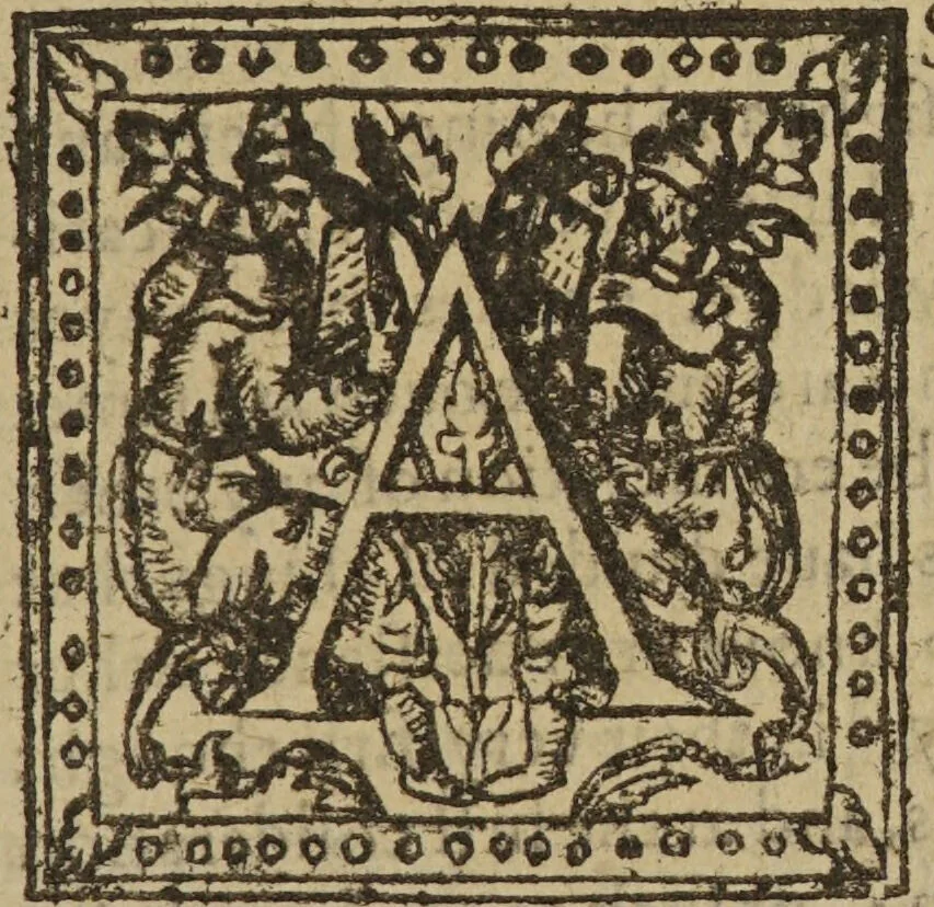 An illustration from The triall of witch-craft, shewing the true and right methode of the discouery: with a confutation of erroneous wayes / By Iohn Cotta, doctor in physicke., 1616, leaf 19