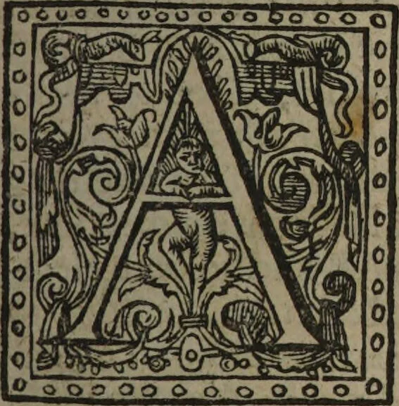 An illustration from A sure guide; or, the best and nearest way to physick and chyrurgery .... Being an anatomical description of the whol [sic] body of man, and its parts, with their respective diseases .... In six books .... / Englished by Nich. Culpeper, Gent. and W.R. doctor of the liberal arts, and of physick [i.e. William Rand]., 1657, leaf 25