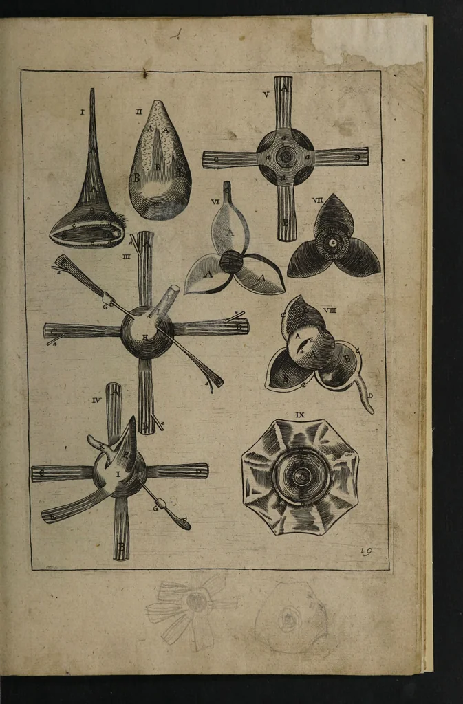 An illustration from A sure guide; or, the best and nearest way to physick and chyrurgery .... Being an anatomical description of the whol [sic] body of man, and its parts, with their respective diseases .... In six books .... / Englished by Nich. Culpeper, Gent. and W.R. doctor of the liberal arts, and of physick [i.e. William Rand]., 1657, leaf 339