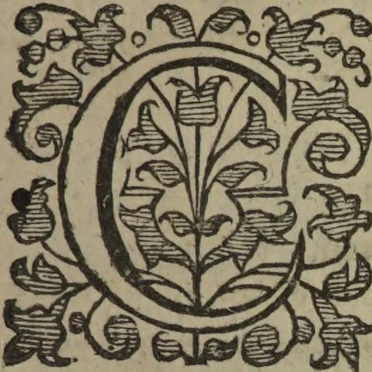 An illustration from A treatise of witchcraft : wherein sundry propositions are laid downe, plainely discouering the wickednesse of that damnable art, with diuerse other speciall points annexed, not impertinent to the same, such as ought diligently of euery Christian to be considered. With a true narration of the witchcrafts which Mary Smith, wife of Henry Smith glouer, did practise ... / By Alexander Roberts., 1616, leaf 21