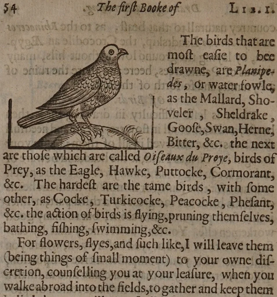 An illustration from The compleat gentleman. Fashioning him absolut, in the most necessary and commendable qualities concerning minde or body, that may be required in a noble gentleman. Wherevnto is annexed a description of the order of a maine battaile or pitched field, eight severall wayes. With the art of limming and other additions newly enlarged / By Henry Peacham., 1634, leaf 346