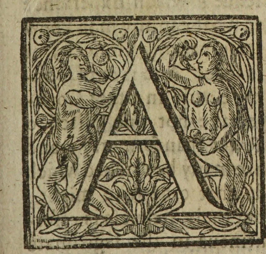 An illustration from Daimonomageia. A small treatise of sicknesses and diseases from witchcraft, and supernatural causes. Never before, at least in this comprised order, and general manner, was the like published : being useful to others besides physicians, in that it confutes atheistical, sadducistical, and sceptical principles and imaginations / [Anon]., 1665, leaf 21