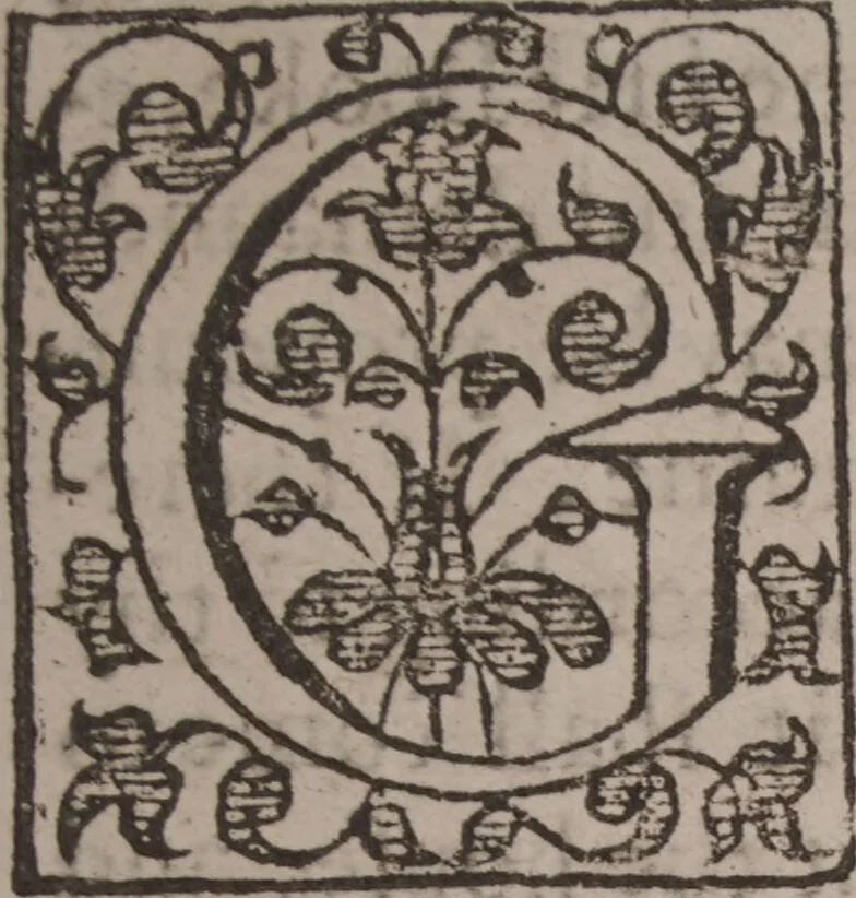 An illustration from The geomancie / of Maister Christopher Cattan Gentleman. A booke, no lesse pleasant and recreatiue, then of a wittie inuention, to knovve all thinges, past, present, and to come. Whereunto is annexed the wheele of Pythagoras. Translated out of French into our English tongue [by Francis Sparry]., 1591, leaf 17