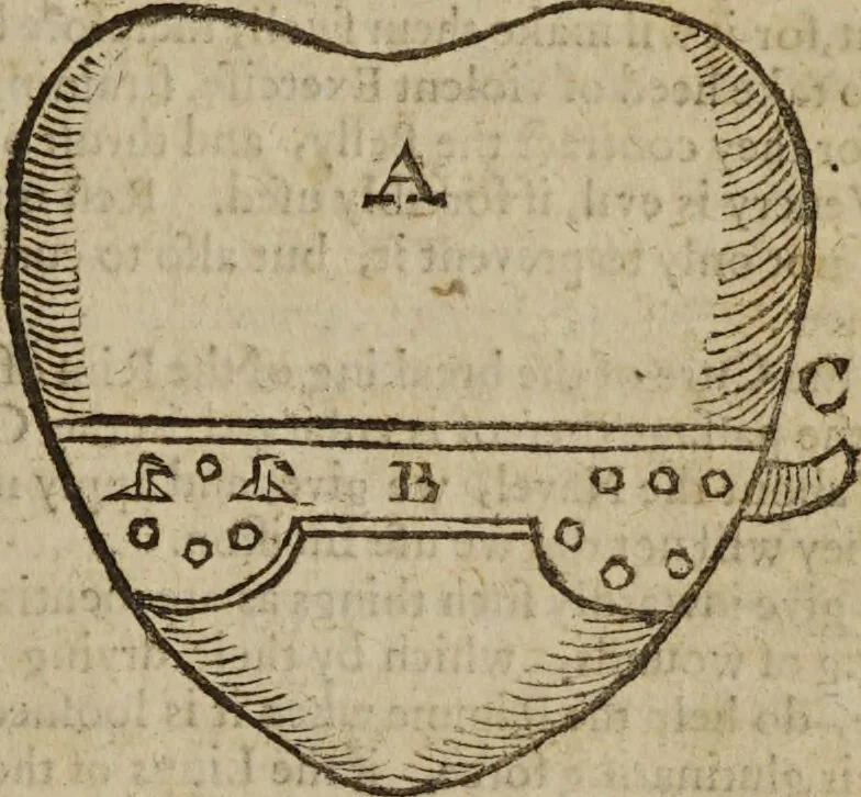 An illustration from Platerus Golden practice of physick : Fully and plainly discovering, I. All the kinds. II. The several causes of every disease. III. Their most proper cures ... In three books, and five tomes, or parts. Being the fruits of one and thirty years travel: and fifty years practice of physick / By Felix Plater, Abdiah Cole, Nich. Culpeper., 1664, leaf 499