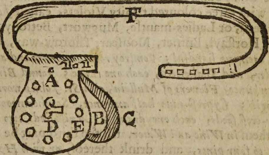An illustration from Platerus Golden practice of physick : Fully and plainly discovering, I. All the kinds. II. The several causes of every disease. III. Their most proper cures ... In three books, and five tomes, or parts. Being the fruits of one and thirty years travel: and fifty years practice of physick / By Felix Plater, Abdiah Cole, Nich. Culpeper., 1664, leaf 499
