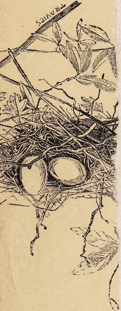 An illustration from Histoire des penchans et des sentimens de l'homme, d'après la doctrine de Gall / Par F.Ch. Ornée de vingt portraits., 1829, leaf 2