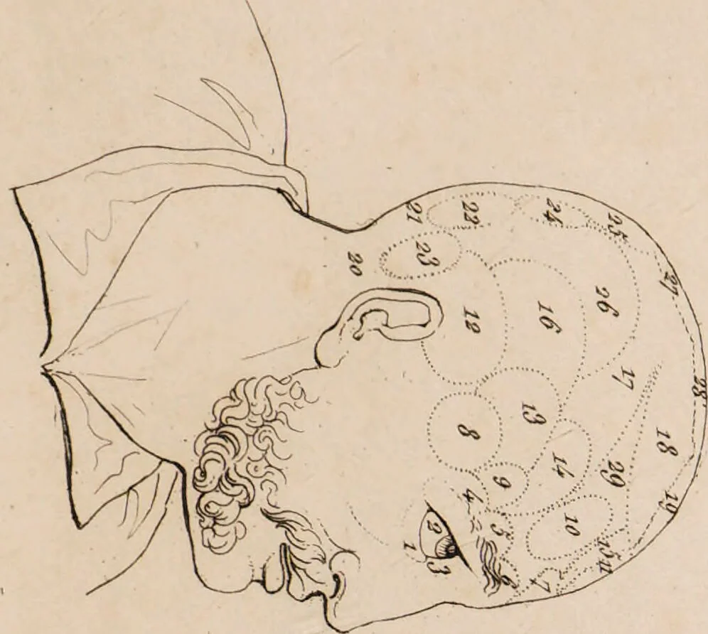 An illustration from Histoire des penchans et des sentimens de l'homme, d'après la doctrine de Gall / Par F.Ch. Ornée de vingt portraits., 1829, leaf 53