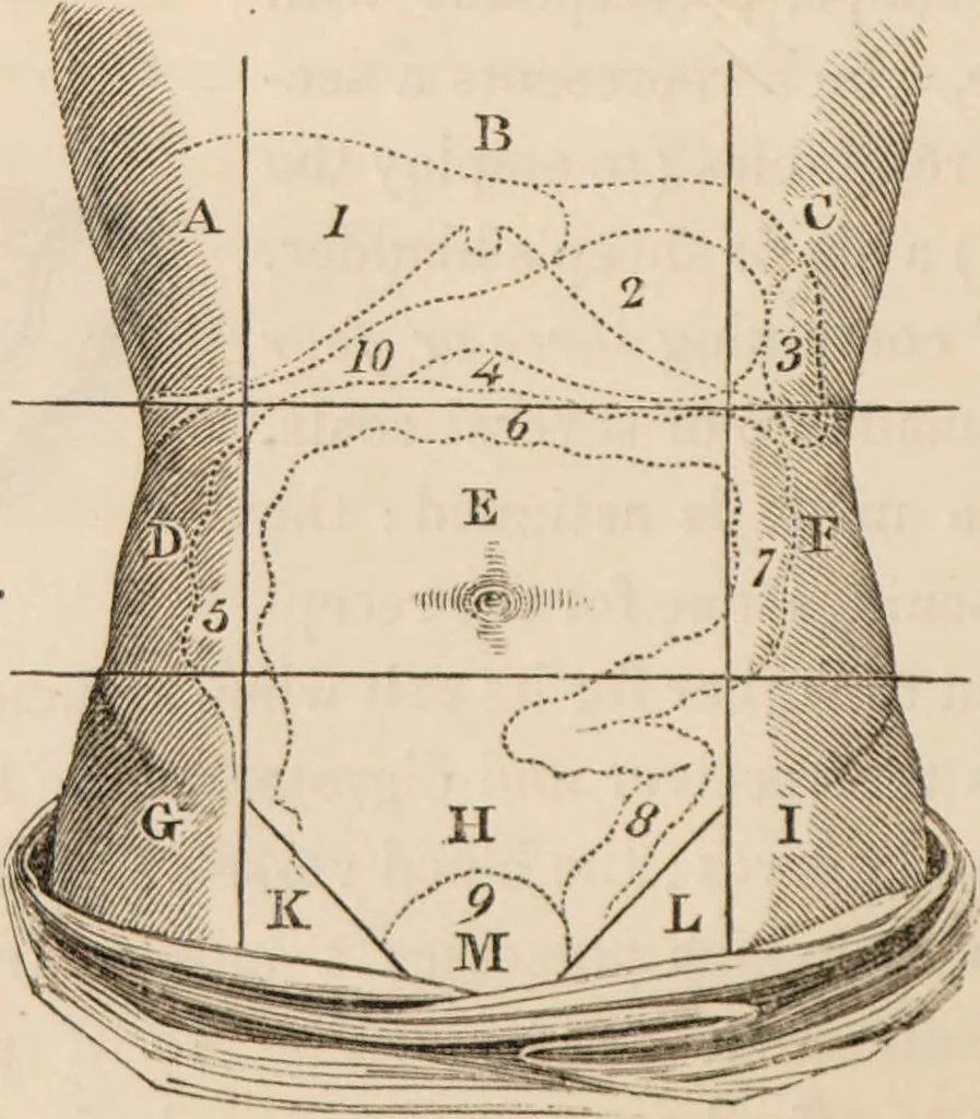 An illustration from The confessional ... An analysis of the causes and cure of melancholy, nervousness, mental and physical debility, arising from ill health, worldly anxiety ... To which is added an essay on corpulency-obesity ... A sketch of choice in marriage, phrenologically considered ... and a few comments on drunkenness / [Robert James Culverwell]., 1841, leaf 20