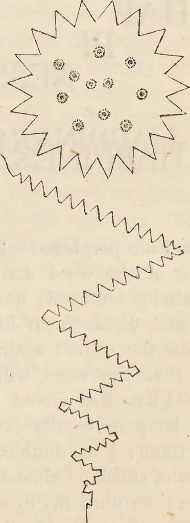 An illustration from The confessional ... An analysis of the causes and cure of melancholy, nervousness, mental and physical debility, arising from ill health, worldly anxiety ... To which is added an essay on corpulency-obesity ... A sketch of choice in marriage, phrenologically considered ... and a few comments on drunkenness / [Robert James Culverwell]., 1841, leaf 59
