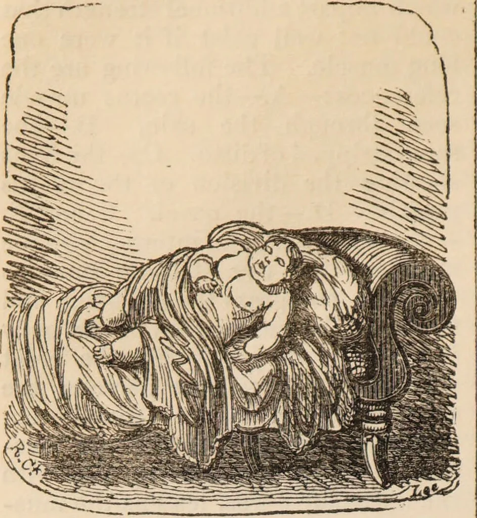 An illustration from The confessional ... An analysis of the causes and cure of melancholy, nervousness, mental and physical debility, arising from ill health, worldly anxiety ... To which is added an essay on corpulency-obesity ... A sketch of choice in marriage, phrenologically considered ... and a few comments on drunkenness / [Robert James Culverwell]., 1841, leaf 74